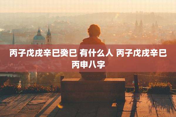 丙子戊戌辛巳癸巳 有什么人 丙子戊戌辛巳丙申八字