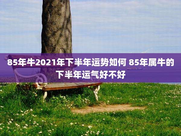 85年牛2021年下半年运势如何 85年属牛的下半年运气好不好