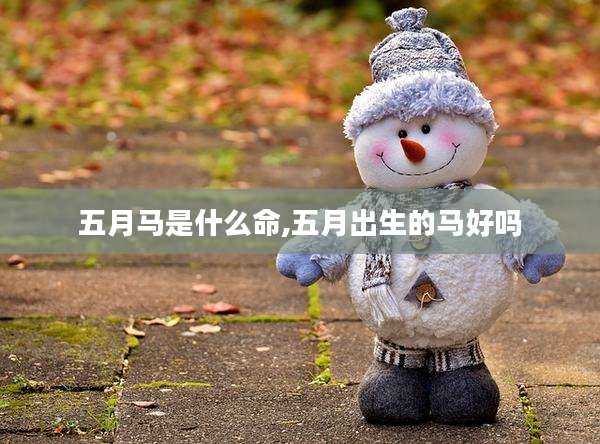 五月马是什么命,五月出生的马好吗