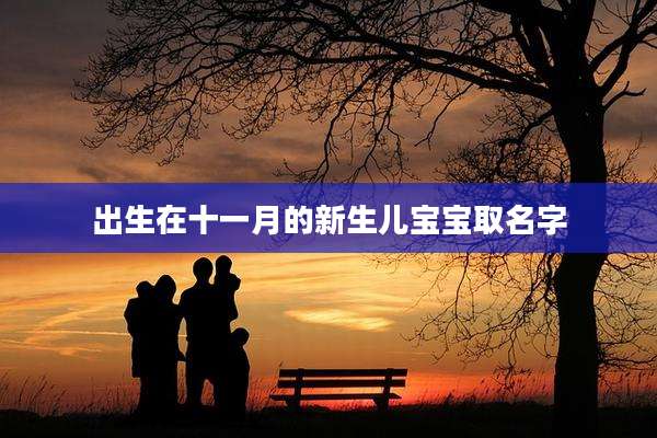出生在十一月的新生儿宝宝取名字