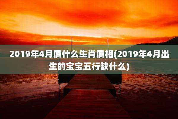 2019年4月属什么生肖属相(2019年4月出生的宝宝五行缺什么)