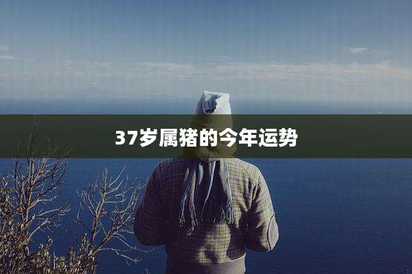 37岁属猪的今年运势