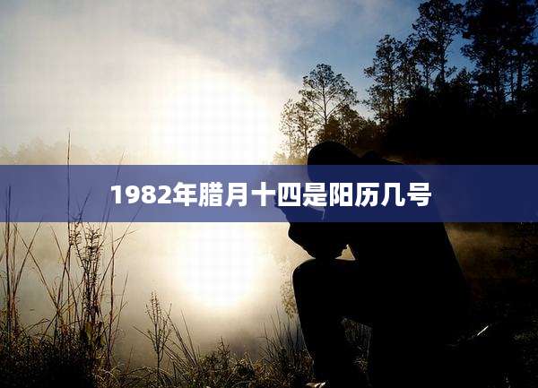 1982年腊月十四是阳历几号