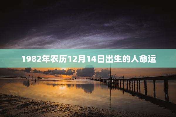1982年农历12月14日出生的人命运