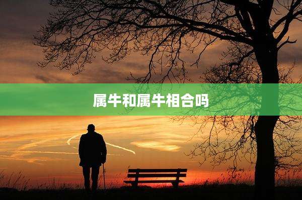 属牛和属牛相合吗