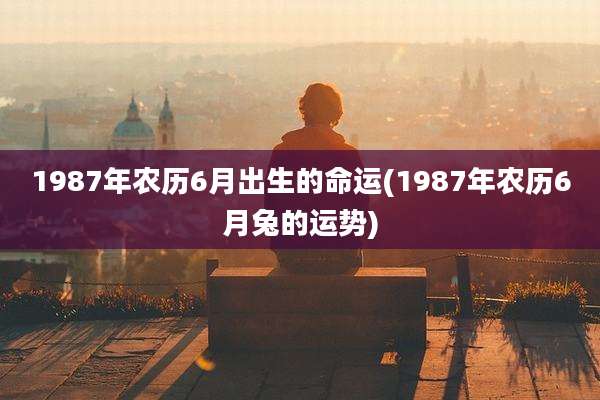 1987年农历6月出生的命运(1987年农历6月兔的运势)