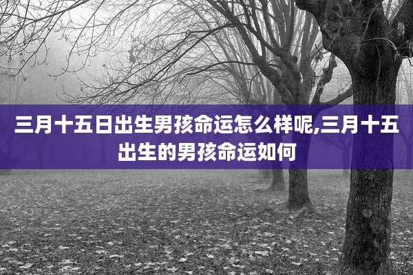 三月十五日出生男孩命运怎么样呢,三月十五出生的男孩命运如何