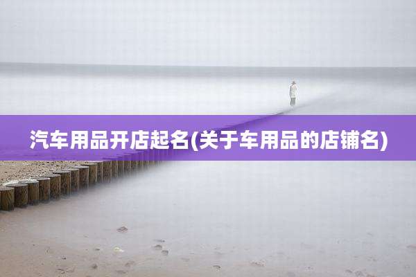 汽车用品开店起名(关于车用品的店铺名)