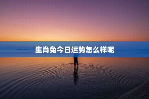 生肖兔今日运势怎么样呢