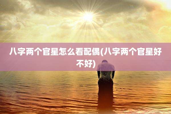 八字两个官星怎么看配偶(八字两个官星好不好)