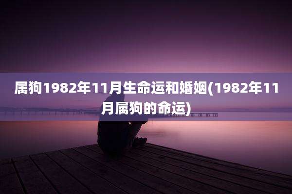 属狗1982年11月生命运和婚姻(1982年11月属狗的命运)