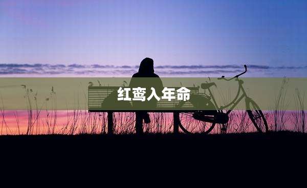 红鸾入年命