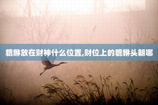 貔貅放在财神什么位置,财位上的貔貅头朝哪