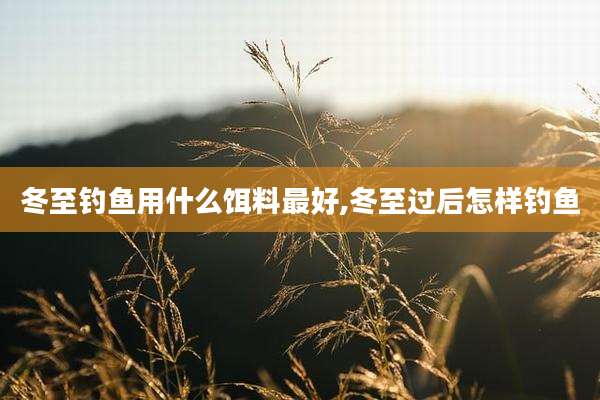 冬至钓鱼用什么饵料最好,冬至过后怎样钓鱼
