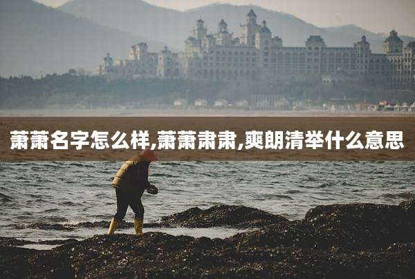 萧萧名字怎么样,萧萧肃肃,爽朗清举什么意思
