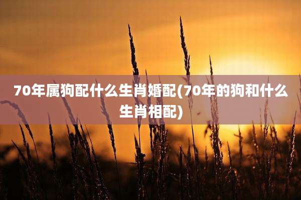 70年属狗配什么生肖婚配(70年的狗和什么生肖相配)
