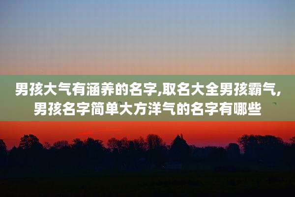 男孩大气有涵养的名字,取名大全男孩霸气,男孩名字简单大方洋气的名字有哪些