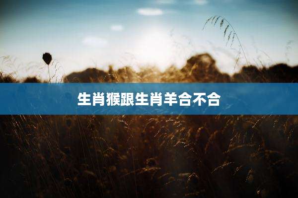 生肖猴跟生肖羊合不合