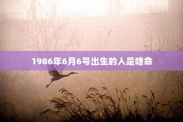 1986年6月6号出生的人是啥命