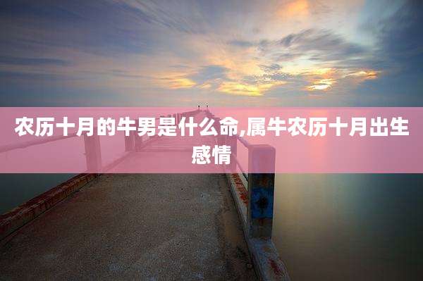 农历十月的牛男是什么命,属牛农历十月出生感情
