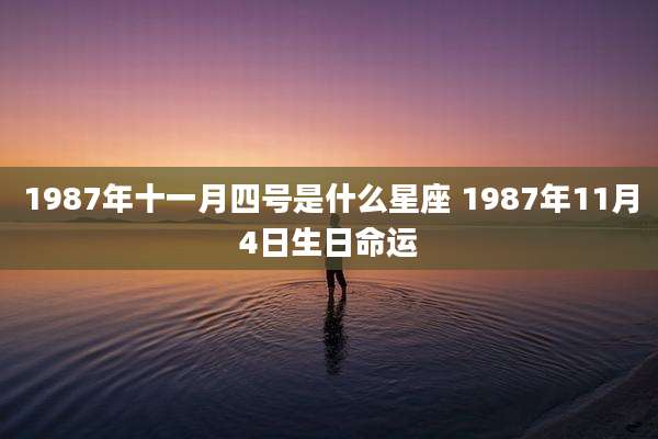 1987年十一月四号是什么星座 1987年11月4日生日命运