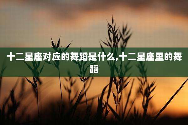 十二星座对应的舞蹈是什么,十二星座里的舞蹈