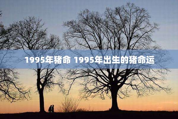 1995年猪命 1995年出生的猪命运