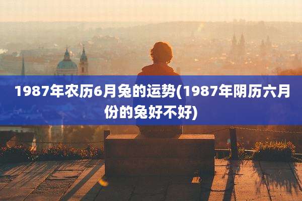 1987年农历6月兔的运势(1987年阴历六月份的兔好不好)