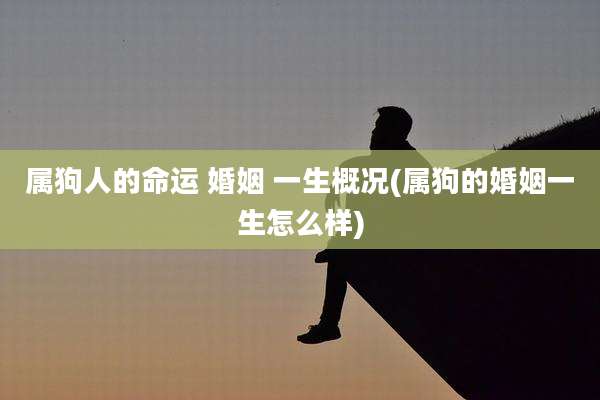 属狗人的命运 婚姻 一生概况(属狗的婚姻一生怎么样)