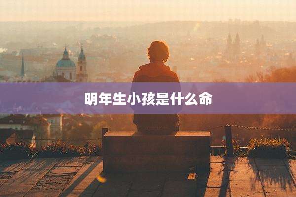 明年生小孩是什么命