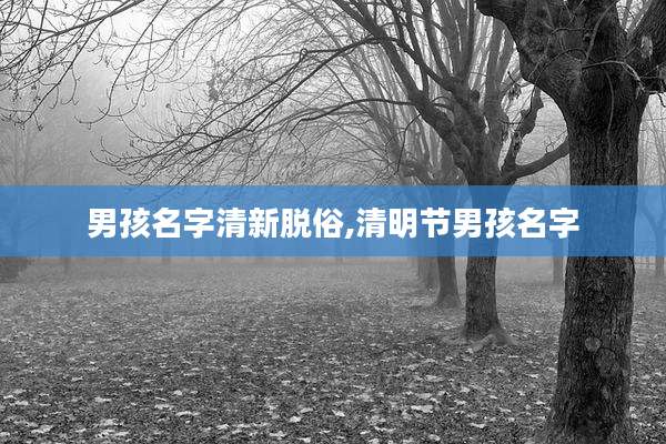 男孩名字清新脱俗,清明节男孩名字