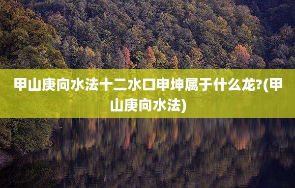 甲山庚向水法十二水口申坤属于什么龙?(甲山庚向水法)