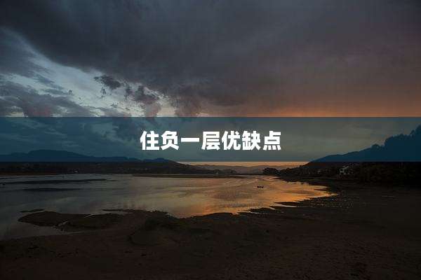 住负一层优缺点