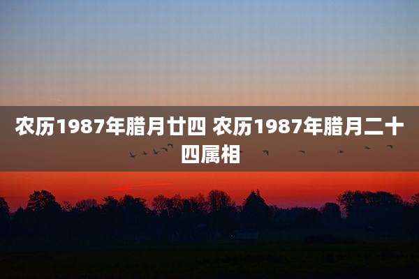 农历1987年腊月廿四 农历1987年腊月二十四属相