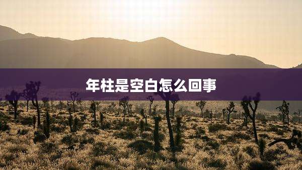 年柱是空白怎么回事