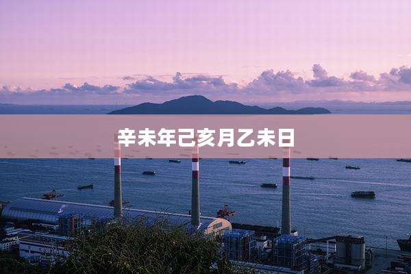 辛未年己亥月乙未日