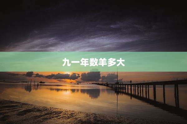 九一年数羊多大
