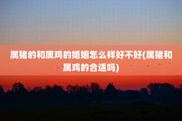 属猪的和属鸡的婚姻怎么样好不好(属猪和属鸡的合适吗)