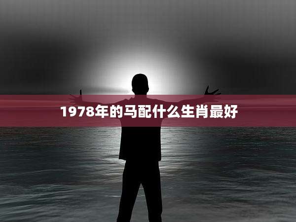 1978年的马配什么生肖最好
