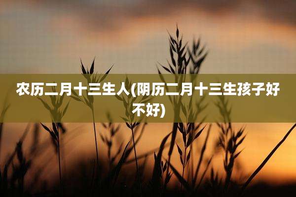 农历二月十三生人(阴历二月十三生孩子好不好)