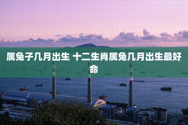 属兔子几月出生 十二生肖属兔几月出生最好命