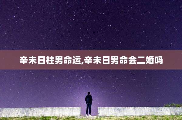 辛未日柱男命运,辛未日男命会二婚吗
