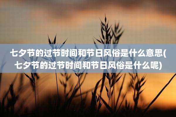 七夕节的过节时间和节日风俗是什么意思(七夕节的过节时间和节日风俗是什么呢)
