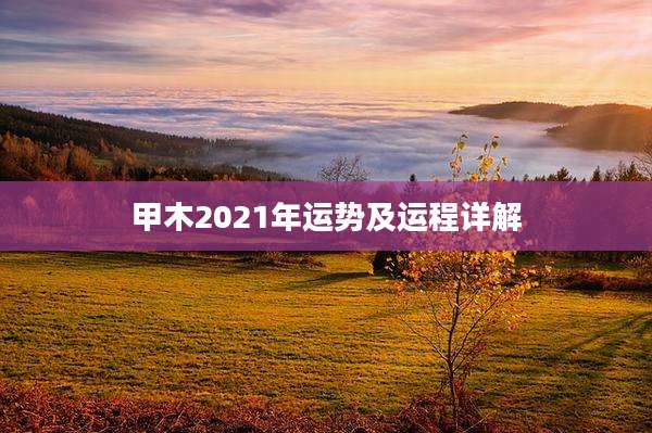 甲木2021年运势及运程详解