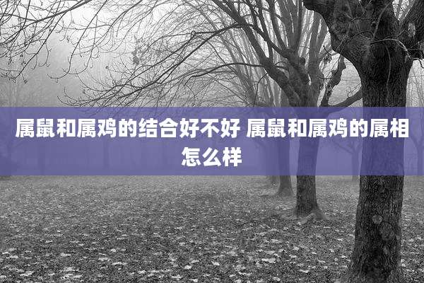 属鼠和属鸡的结合好不好 属鼠和属鸡的属相怎么样