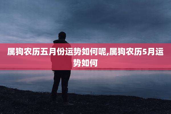 属狗农历五月份运势如何呢,属狗农历5月运势如何