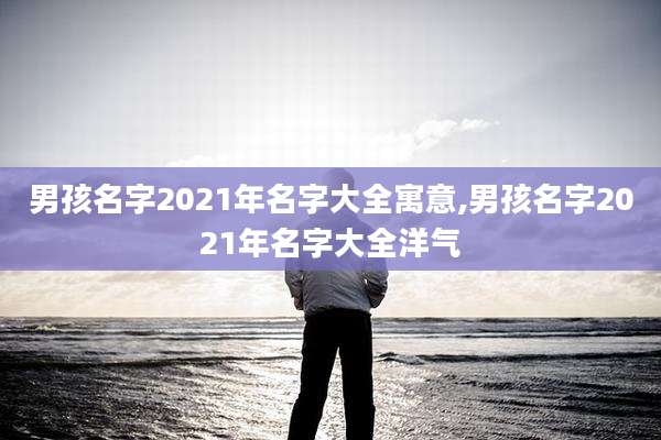 男孩名字2021年名字大全寓意,男孩名字2021年名字大全洋气