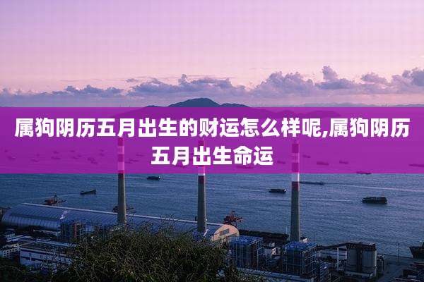 属狗阴历五月出生的财运怎么样呢,属狗阴历五月出生命运