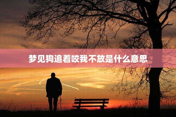 梦见狗追着咬我不放是什么意思
