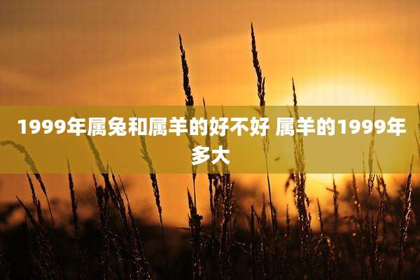 1999年属兔和属羊的好不好 属羊的1999年多大